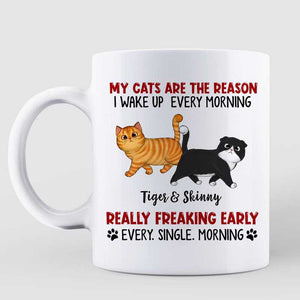 Reason I Wake Up Early Walking Fluffy Cats Personalized Mug