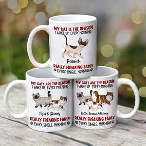 Reason I Wake Up Early Walking Fluffy Cats Personalized Mug